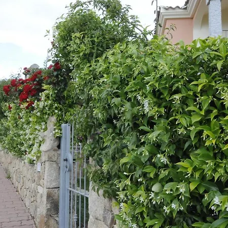 Casa Emy Casa vacanze Budoni